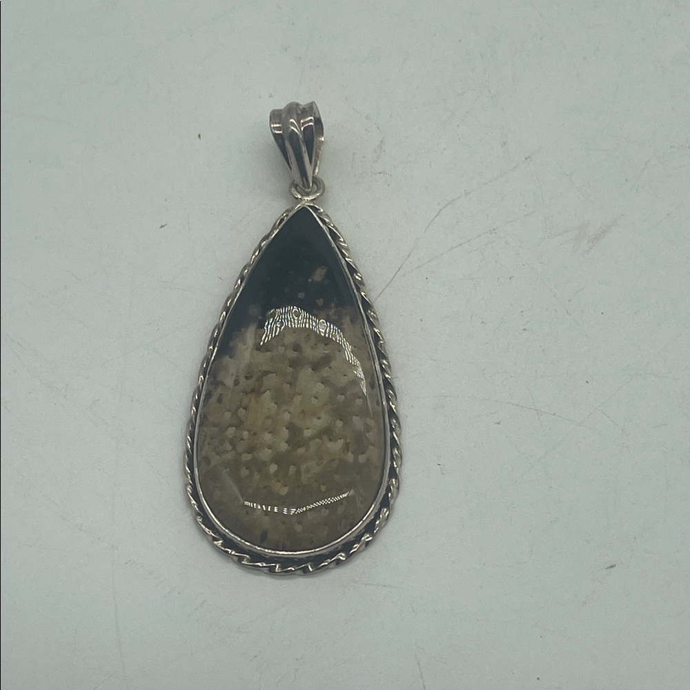 Petrified Wood Sterling Silver Pendant